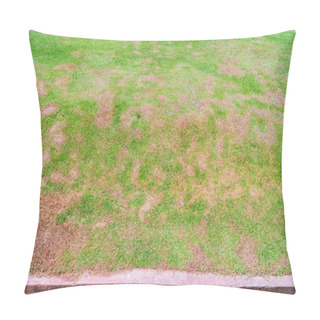 Personality  Dead Grass Of The Nature Background. A Patch Is Caused By The Destruction Of Fungus Rhizoctonia Solani Grass Leaf Change From Green To Dead Brown In A Circle Lawn Texture Background Dead Dry Grass. Pillow Covers