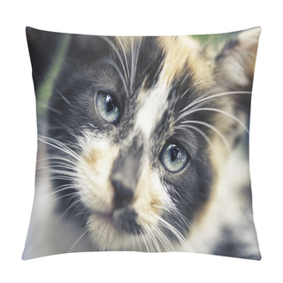Personality  Cub Cat Portrait Pillow Covers