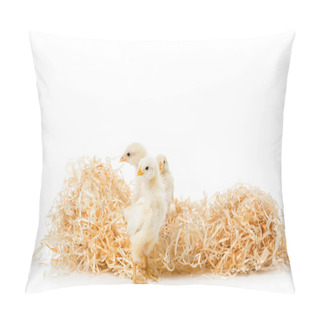Personality  Three Little Chickens On Nest Isolated On White Pillow Covers