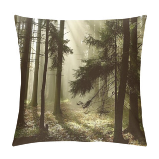 Personality  Coniferous Forest At Dawn Pillow Covers