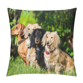 Personality  Profile Shot Of Four Dachshund Dogs Sitting In Row On Grass Wathcing Their Master Pillow Covers