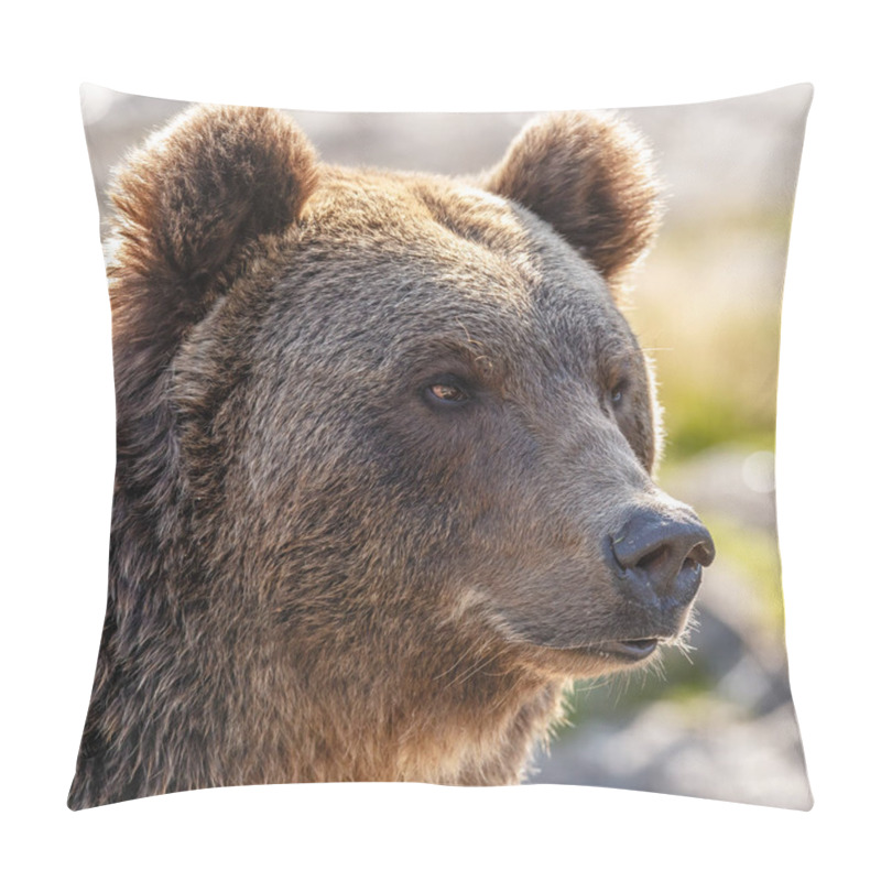 Personality  Brown bear portrait close up pillow covers