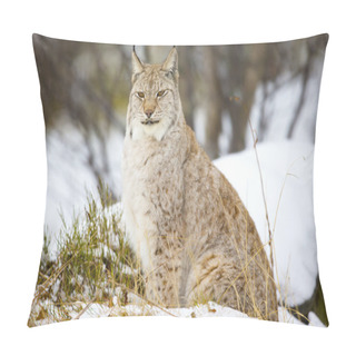 Personality  Beautiful Lynx Cat Sitting In The Winter Forest Pillow Covers