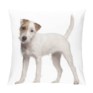 Personality  Parson Russell Terrier Puppy, 6 Months Old, Standing In Front Of White Background Pillow Covers