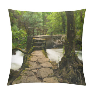 Personality  Beautiful View In Refugio De Verdes Pillow Covers