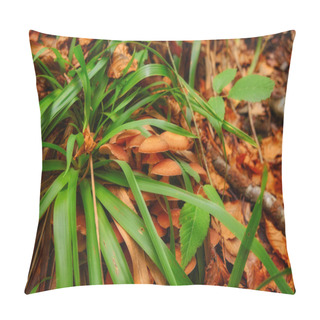 Personality  Tiny Mushroom Emerges Amidst The Autumnal Tapestry Of Fallen Leaves And Vibrant Green Grass.  Pillow Covers