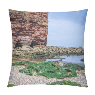 Personality  Budleigh Salterton Mother Off Cliff And Rock With Seaweeds. UK. Britain Pillow Covers