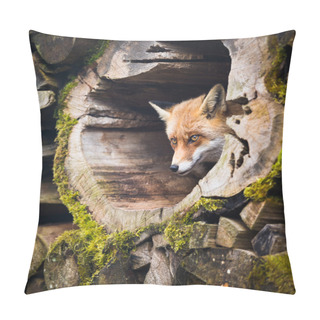 Personality  Red Fox Pillow Covers