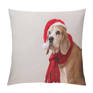Personality  Beagle Dog In Santa Hat And Red Scarf Portrait. Pillow Covers