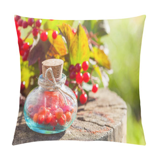 Personality  Bottles Of Guelder Rose (Red Viburnum) Berries On Stump Outdoors Pillow Covers