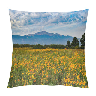 Personality  Field Of Flowers With Pikes Peak Pillow Covers