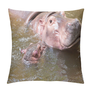 Personality  Baby Hippo And The Mother In A Pool Pillow Covers