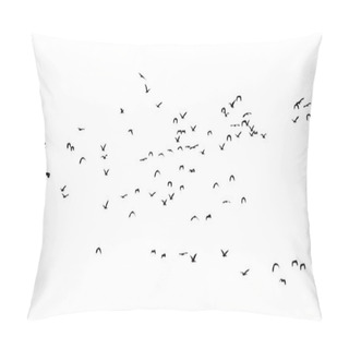 Personality  Group Of Flying Duck Teal Isolated On White . Pillow Covers