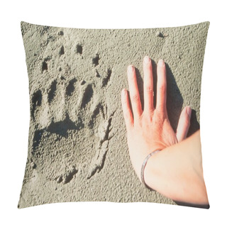 Personality  Grizzly Bear Track And Human Hand. Pillow Covers