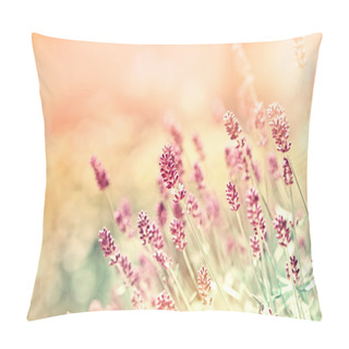 Personality  Lavander Flowers In My Flower Garden Pillow Covers