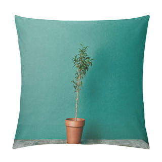 Personality  Plant In Flowerpot On Table On Green Background Pillow Covers