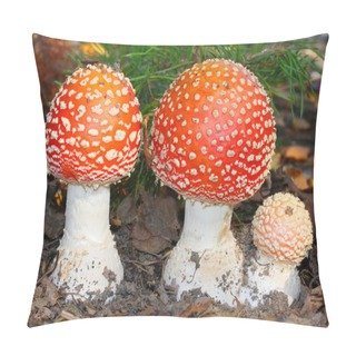 Personality  The Fly Amanita Pillow Covers