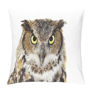 Personality  Close-up Of A Great Horned Owl On White Pillow Covers
