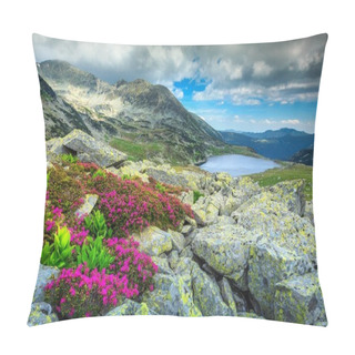 Personality  Stunning Rhododendron Flowers And Bucura Mountain Lake, Retezat Mountains, Romania  Pillow Covers