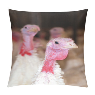 Personality  A White Turkey Pillow Covers