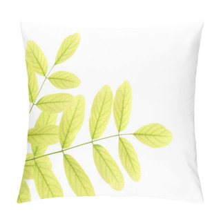 Personality  Green Acacia Leaves Pillow Covers