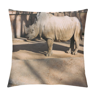 Personality  Grey Rino In Zoological Park,  Barcelona, Spain Pillow Covers