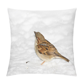 Personality  House Sparrow Pillow Covers