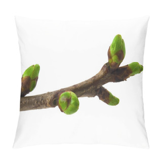 Personality Chrerry Buds Pillow Covers