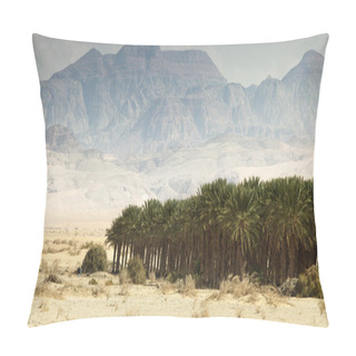 Personality  Landscape, Panorama, Views Of Israel, Jerusalem, The Holy Places, The City Of Three Religions, Eilat, The Negev Desert, The Dead Sea, Jordan, Lake Of Gennesaret, Tiberias Sea, Emmaus, Journey, Trip Pillow Covers