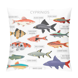 Personality  Cyprinids. Freshwater Aquarium Fish Icon Set Flat Style Isolated On White.  Vector Illustration Pillow Covers