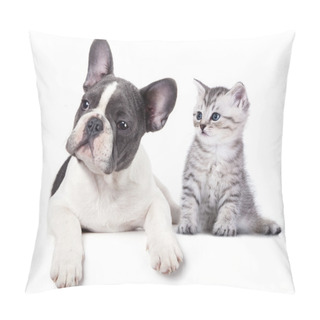 Personality  Kitten And Puppy Pillow Covers