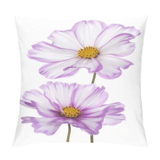 Personality  Cosmos Flower Pillow Covers