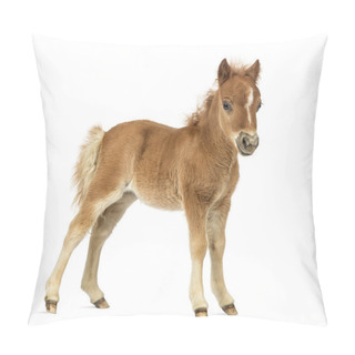 Personality  Side View Young Poney, Foal Against White Background Pillow Covers