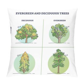 Personality  Evergreen Trees Vs Deciduous Plants With Seasonal Leaves Outline Diagram. Labeled Educational Scheme With Biological Green Forest Division Into Fir Confers Or Broadleaved Wood Vector Illustration. Pillow Covers