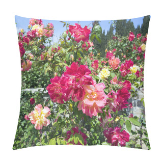 Personality  Beautiful Shrub With Red And Yellow Roses. Pillow Covers