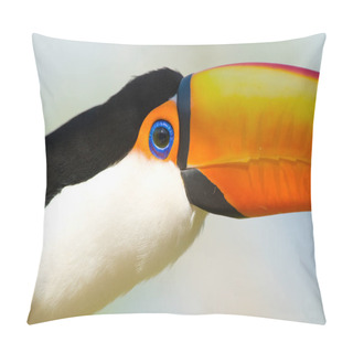 Personality  Head Close-up Of A Touca Pillow Covers