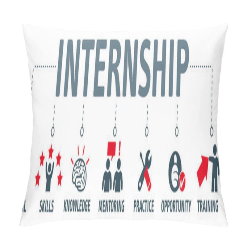 Personality  Internship Benefits Vector Illustration Pillow Covers