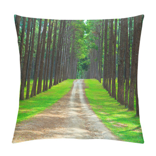 Personality  Pine Forest Road Pillow Covers