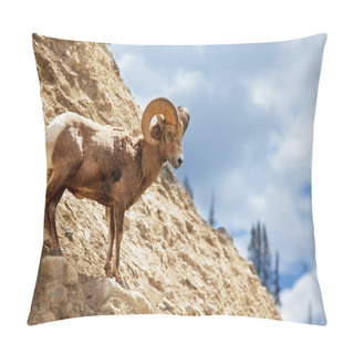 Personality  Goat On Rock Pillow Covers