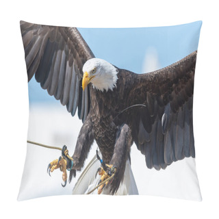 Personality  Bald Eagle (haliaeetus Leucophalus) Pillow Covers