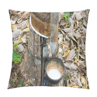 Personality  Milk Of Rubber Tree Flows Into A Wooden Bowl Pillow Covers