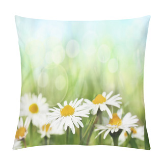 Personality  Daisies On Spring Background. Pillow Covers