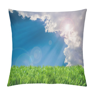 Personality  Spring Summer Lawncare Pillow Covers