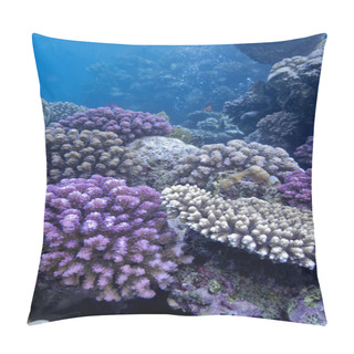 Personality  Coral Reef With Hard Corals On The Bottom Of Red Sea Pillow Covers