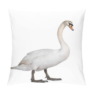 Personality  Beautiful Male White Mute Swan, Standing Side Ways. Looking To Camera. Isolated On White Background. Pillow Covers