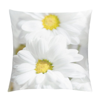 Personality  Spring Flowers Wallpaper. White  Gerbera Flower Or Daisy Flower On Grey Background Close Up Pillow Covers
