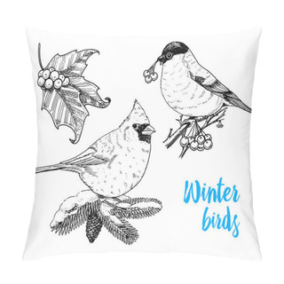 Personality  Engraved Hand Drawn In Old Sketch And Vintage Style For Label. Merry Christmas Or Xmas, New Year Collection. Winter Holiday Decoration. Holly And Bullfinch, Red Cardinal, Winter Birds On Fir Tree. Pillow Covers
