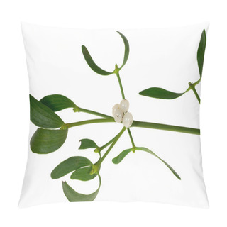 Personality  Mistletoe Sprig With Berries And Leafs Pillow Covers
