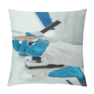 Personality  Cropped View Of Biochemist Holding Petri Dish With Gravel Near Colleague Pillow Covers