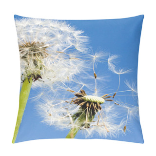 Personality  Spring Garden And Meadow - Springtime Flowers: Dandelion (Taraxacum Officinale) - White Dandelions Seed Against The Blue Sky Pillow Covers